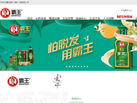 霸王官方网站