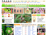 中国兰花交易网
