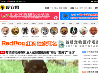 爱宠网