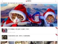 宠物天空网