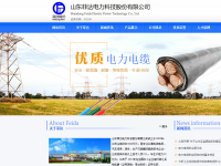 菲缆股份
