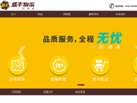 盛丰物流集团