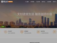 双乾易支付