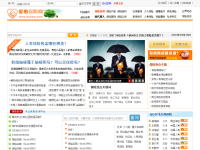 爱心保险网
