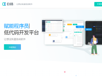 代码开发平台