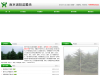 雪松价格