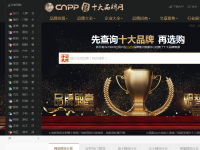 中国十大品牌网