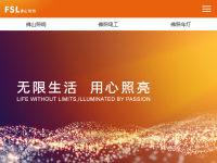 佛山照明