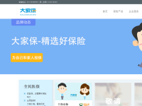 大家保保险网站
