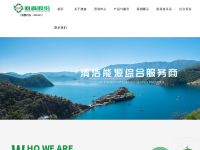 迪森股份
