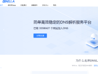 DNSLA智能DNS