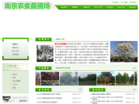 红叶石楠