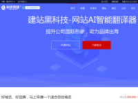 耐思尼克