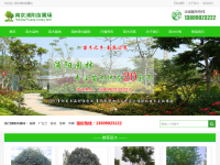 广玉兰