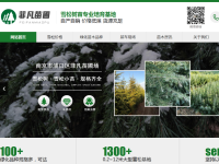 雪松