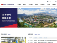 攀钢集团有限公司
