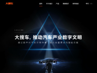 大搜车