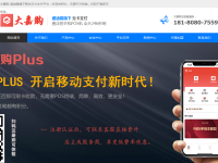 闪电宝PLUS