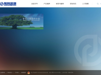 万向