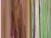 卓克艺术网