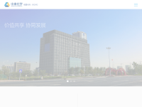 中泰化学