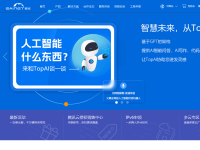 景安网络